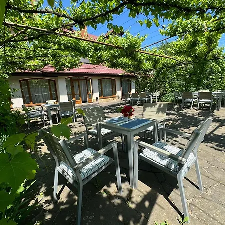 троянда карпат Hotel